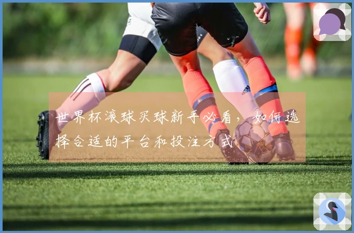 世界杯滚球买球新手必看，如何选择合适的平台和投注方式