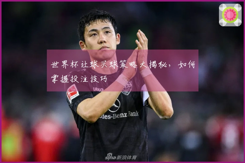 世界杯让球买球策略大揭秘，如何掌握投注技巧
