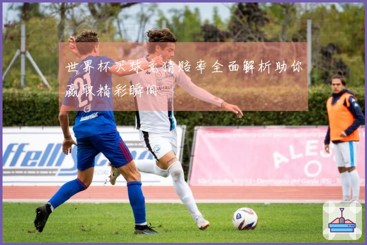 世界杯买球竞猜赔率全面解析助你赢取精彩瞬间