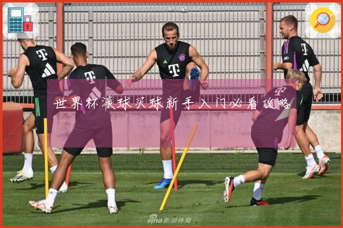 世界杯滚球买球新手入门必看攻略