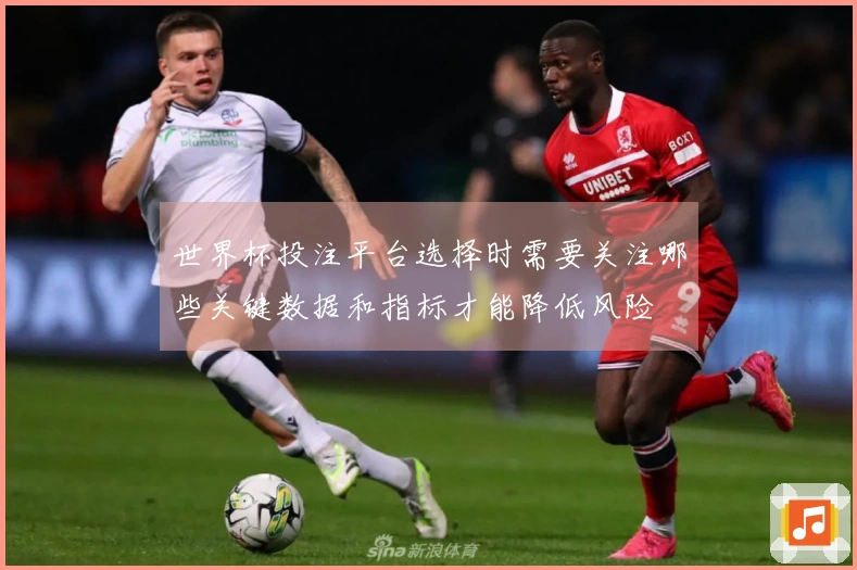 世界杯投注平台选择时需要关注哪些关键数据和指标才能降低风险