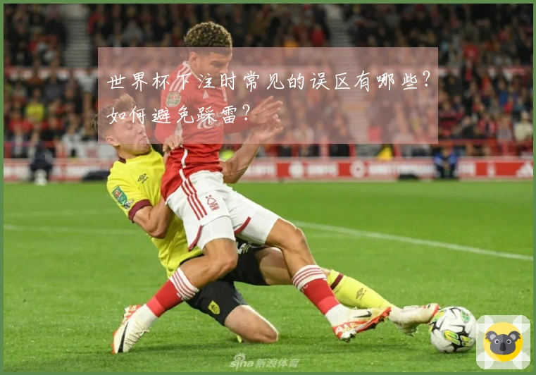 世界杯下注时常见的误区有哪些？如何避免踩雷？