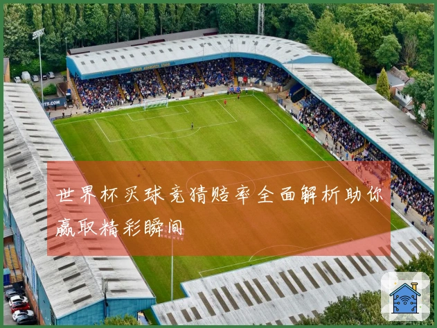 世界杯买球竞猜赔率全面解析助你赢取精彩瞬间