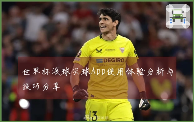 世界杯滚球买球App使用体验分析与技巧分享