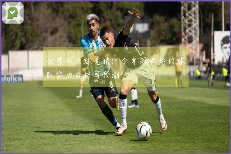 世界杯买球竞猜：今年冠军热门球队实力分析与预测