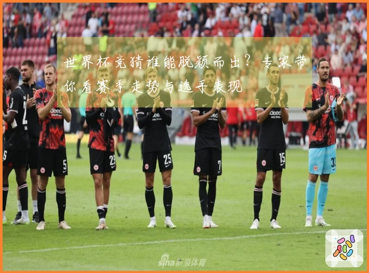 世界杯竞猜谁能脱颖而出？专家带你看赛季走势与选手表现