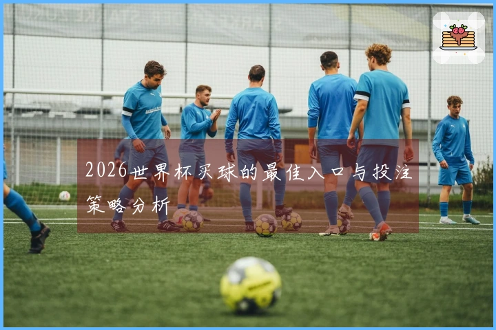 2026世界杯买球的最佳入口与投注策略分析