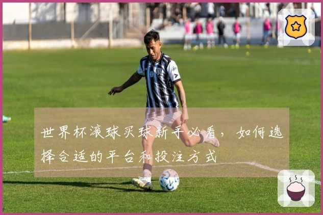 世界杯滚球买球新手必看，如何选择合适的平台和投注方式