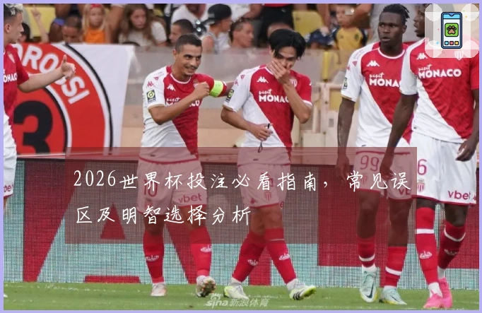2026世界杯投注必看指南，常见误区及明智选择分析