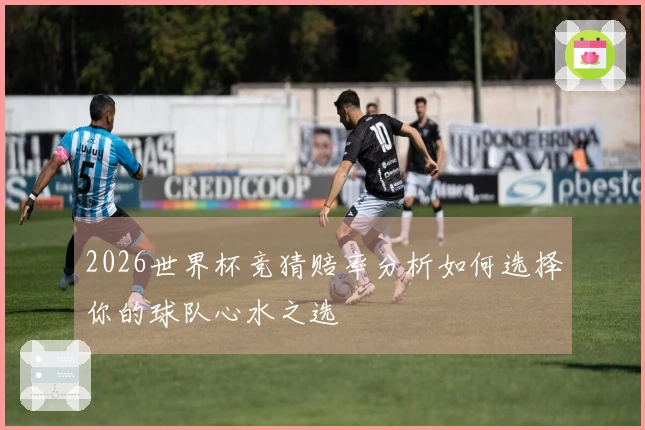 2026世界杯竞猜赔率分析如何选择你的球队心水之选